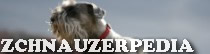 Schnauzerpedia